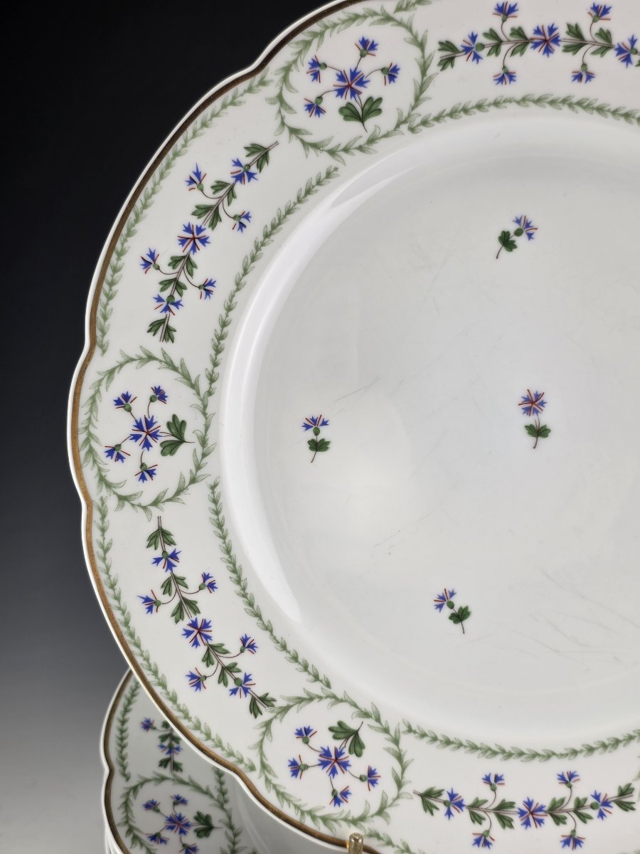 Bernardaud "Barbeaux" - 12 Assiettes de table ∅ 26 cm-photo-2