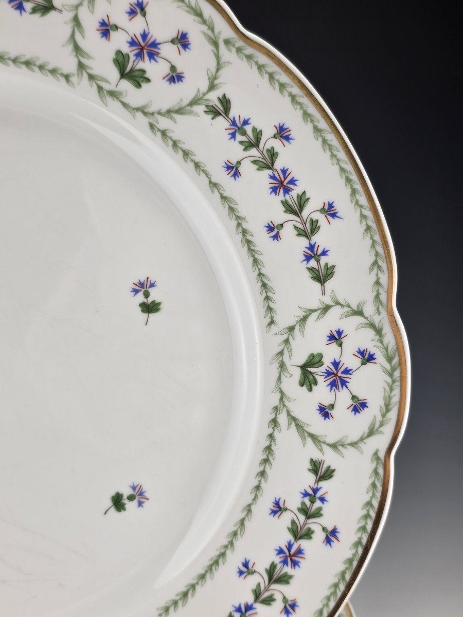 Bernardaud "Barbeaux" - 12 Assiettes de table ∅ 26 cm-photo-3