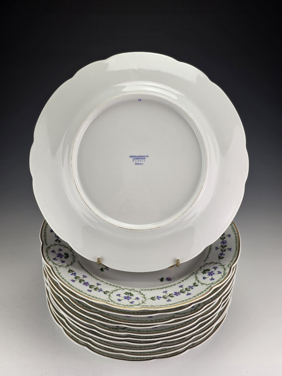 Bernardaud "Barbeaux" - 12 Assiettes de table ∅ 26 cm-photo-4