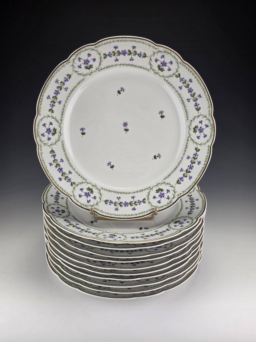 Bernardaud "Barbeaux" - 12 Assiettes de table ∅ 26 cm