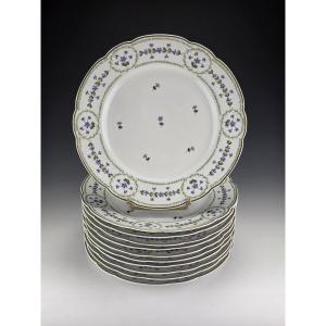 Bernardaud "Barbeaux" - 12 Assiettes de table ∅ 26 cm