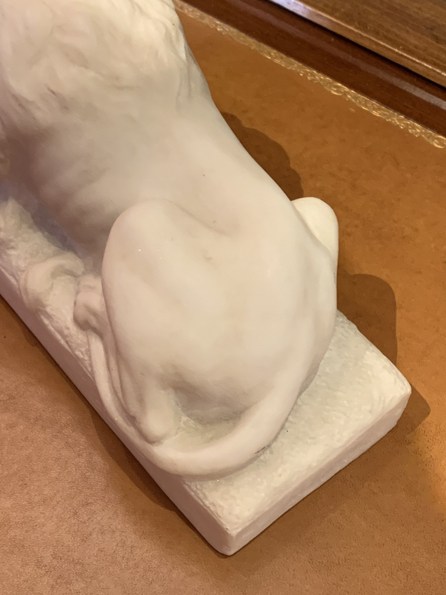 Canova's Lion, 19th-century Alabaster -photo-4