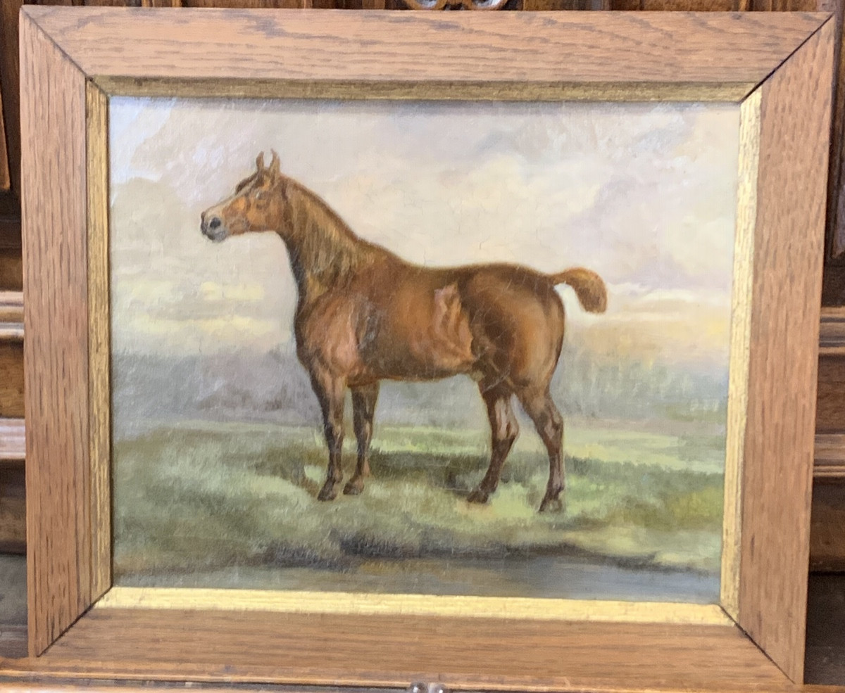 Horse, Oil On Canvas, 19th Century -photo-2