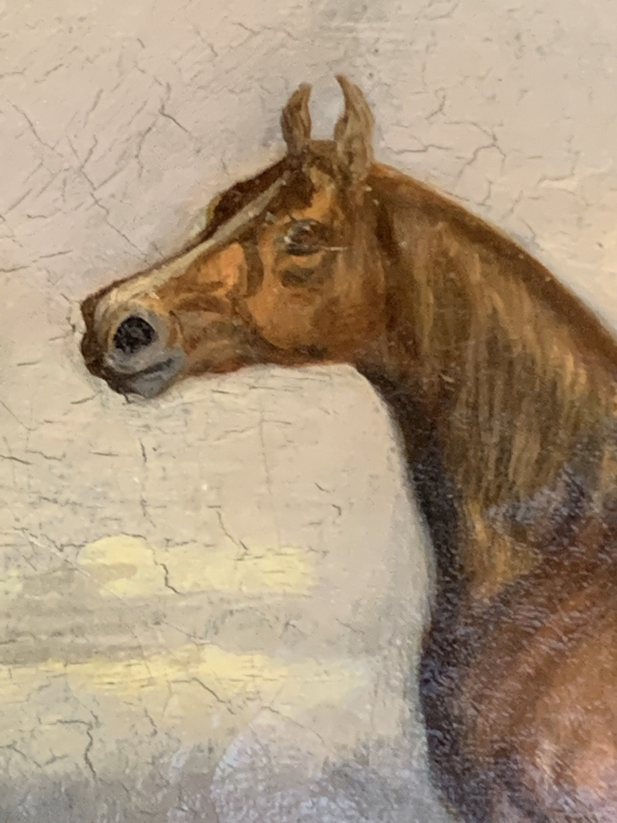 Horse, Oil On Canvas, 19th Century -photo-3