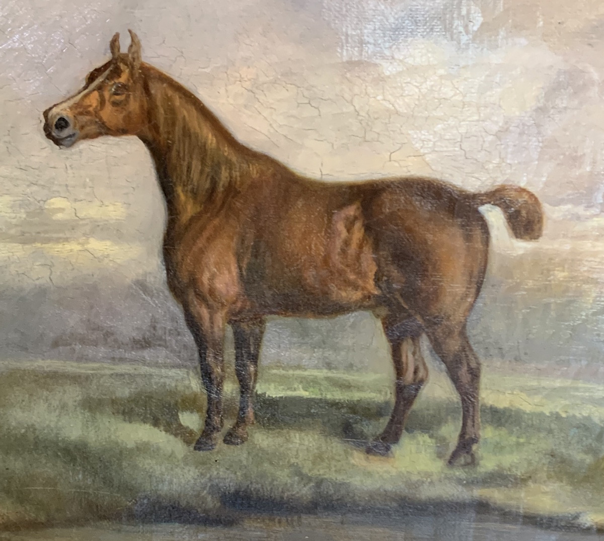 Horse, Oil On Canvas, 19th Century 