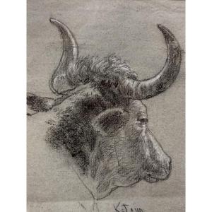 Dessin par Paul de Katow 1834-1897