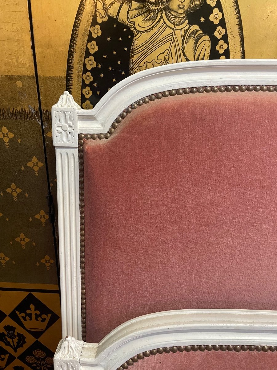Louis XVI Pink Velvet Bed Bed-photo-3