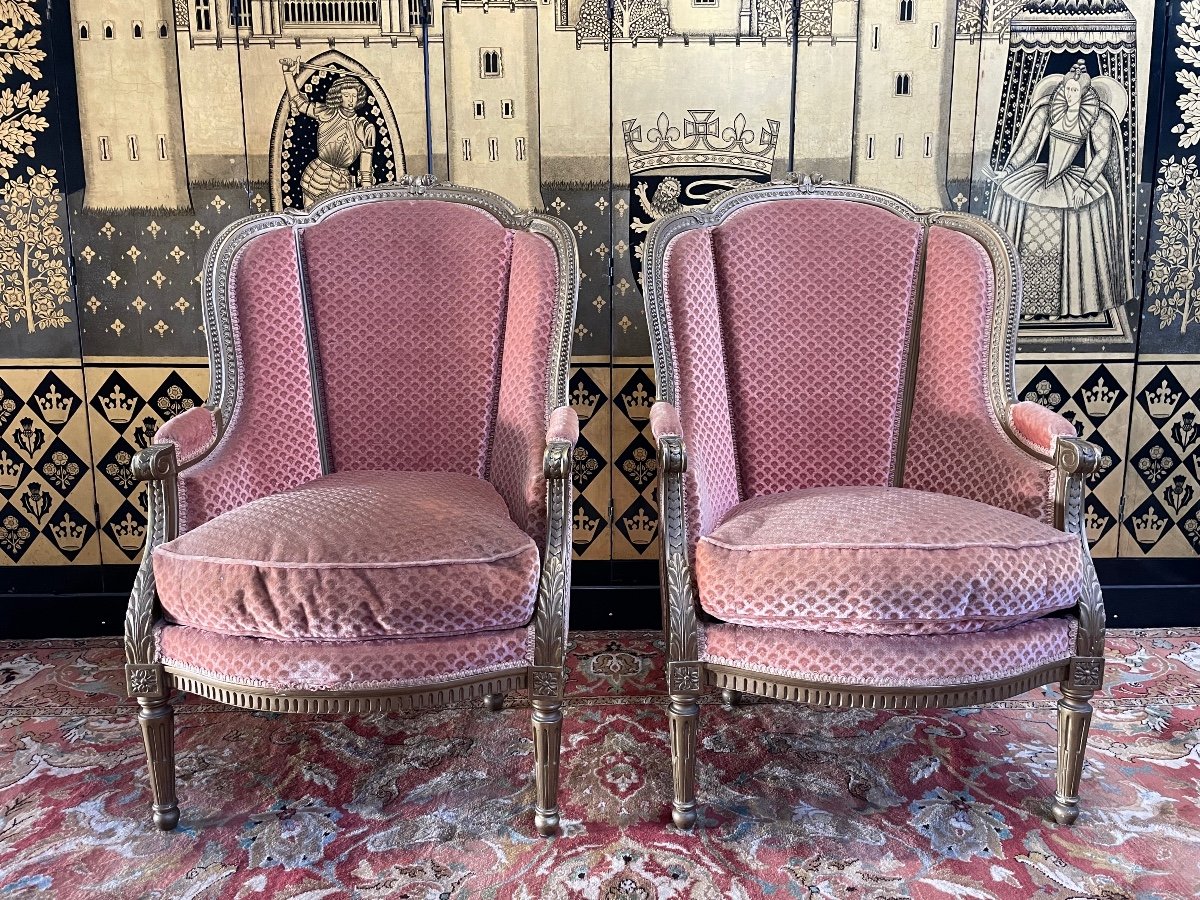 Paire De Bergères De Style Louis XVI Dorées 