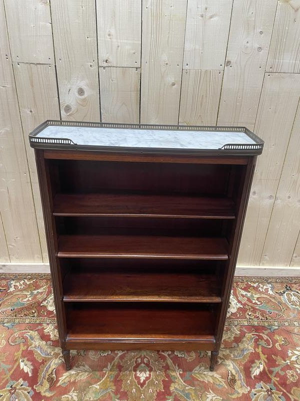 Louis XVI Style Mahogany Bibus -photo-3