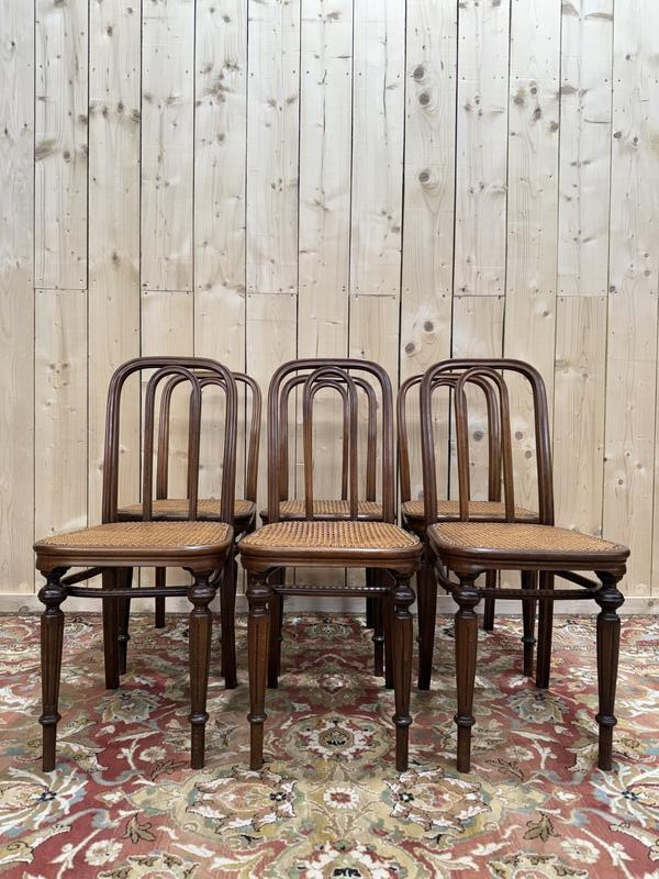 Suite de 6 chaises bistrot Thonet en cannage restaurées