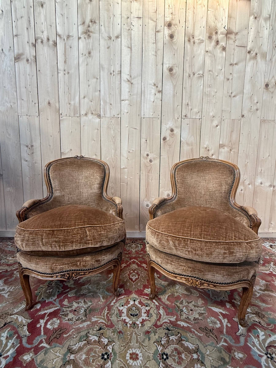 Paire de fauteuils - bergères style Louis XV