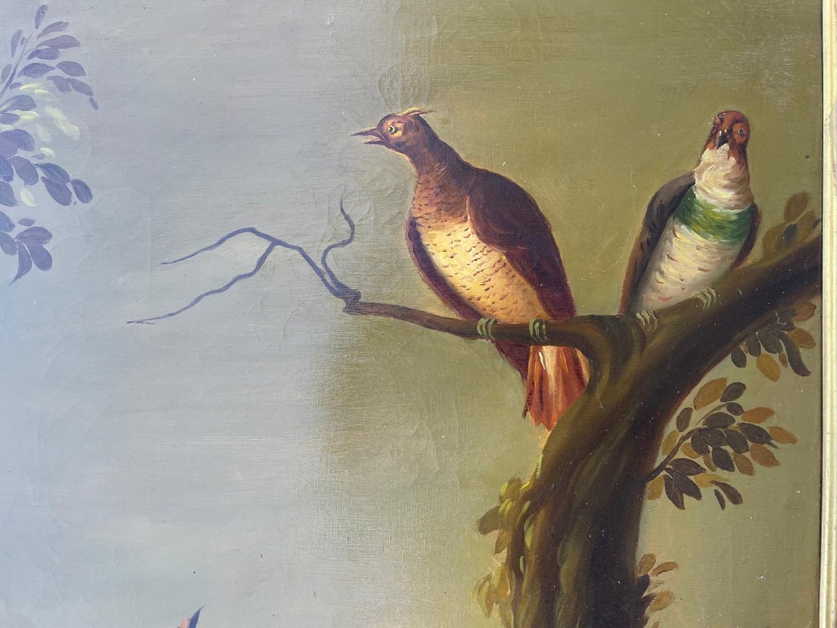 "the Bird Concert" Oil On Canvas In The Style Of Jb Oudry-photo-3