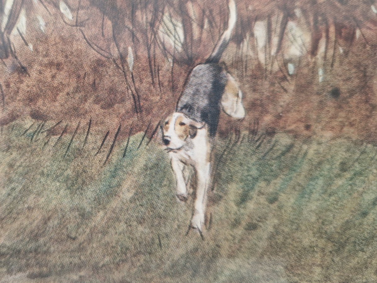 Stencil Watercolor By Cécil Aldin-photo-8