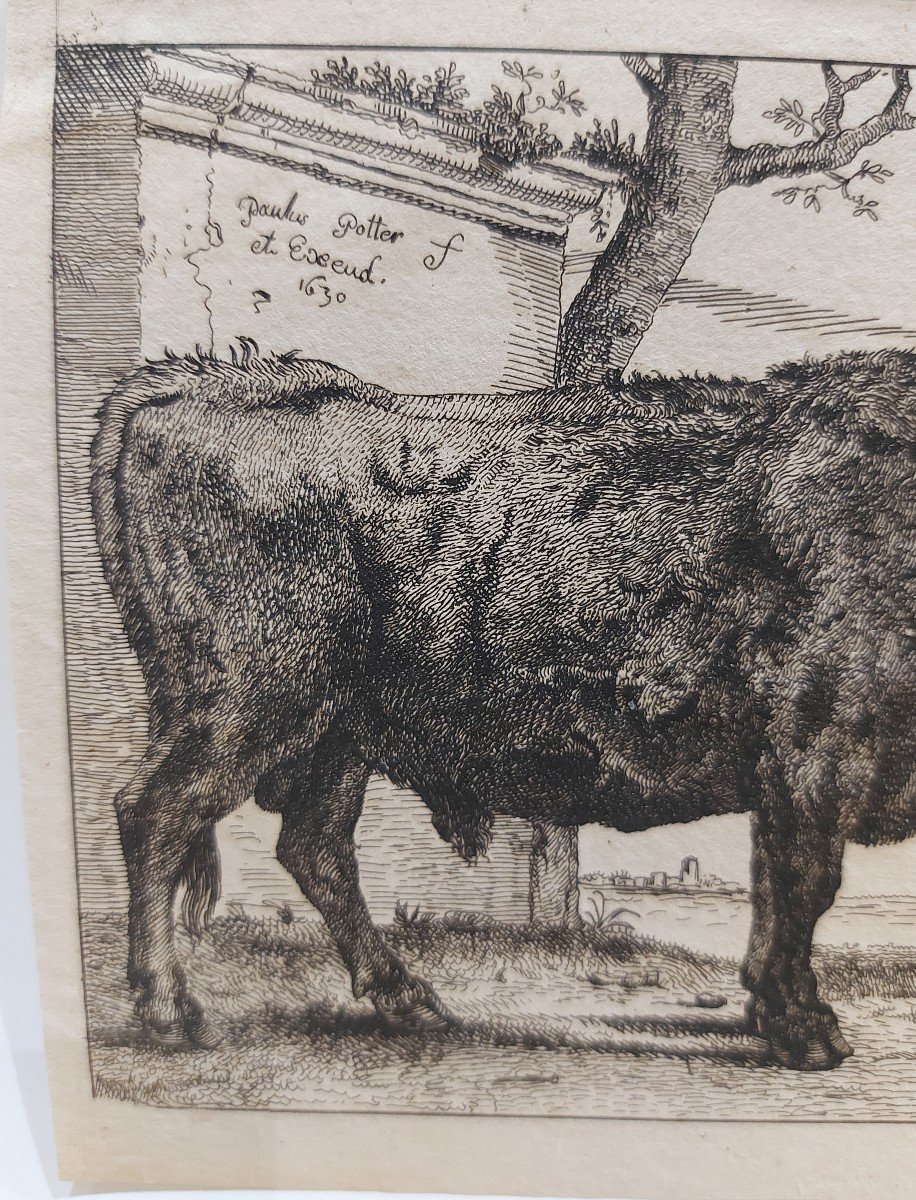 Paulus Potter 17th Engraving-photo-2