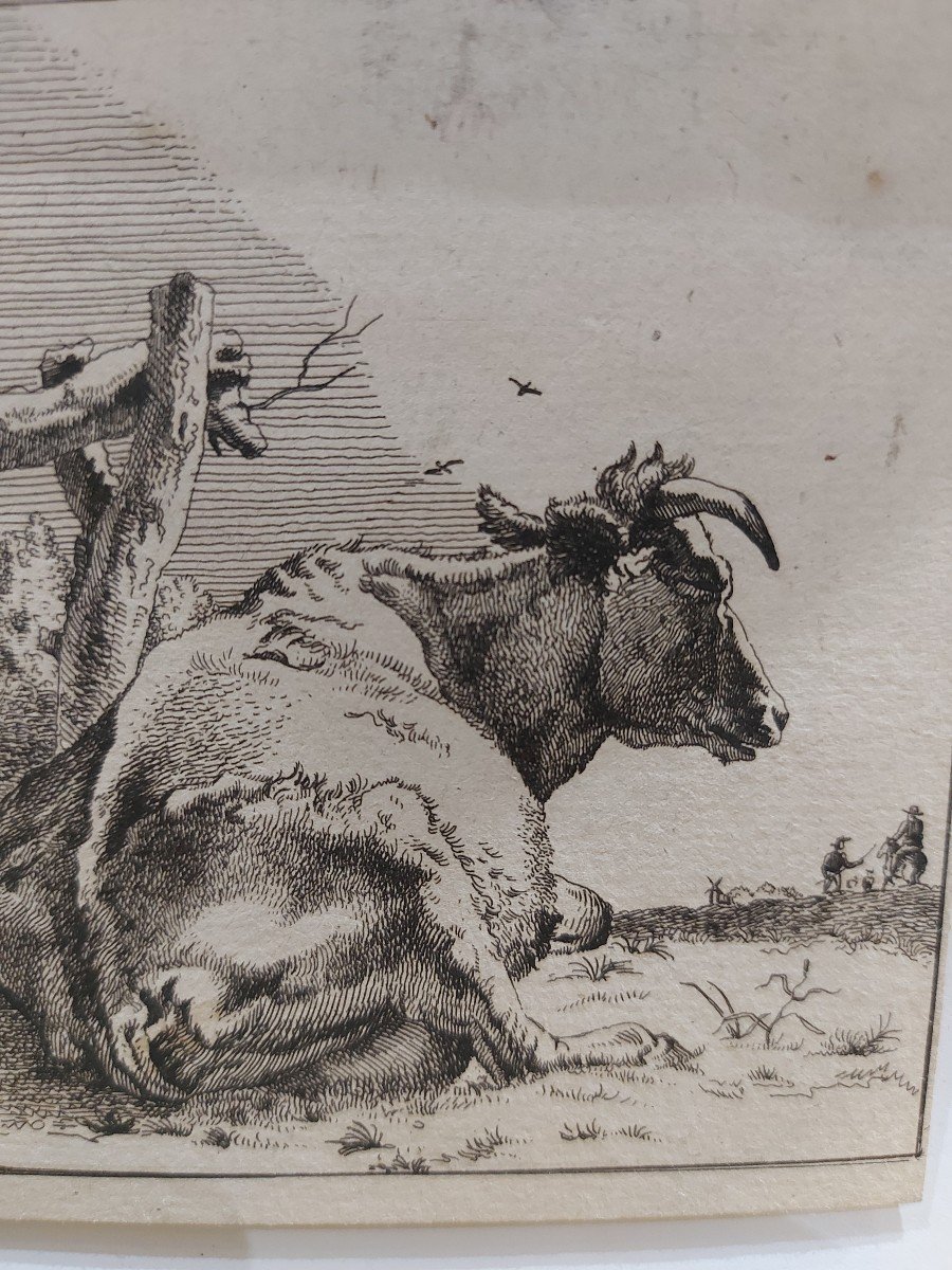 Paulus Potter 17th Engraving-photo-3
