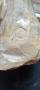 1829927-6abcdced2c365.jpg