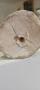 1829927-6abcdced2fbf9.jpg