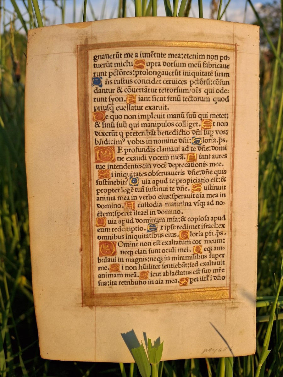 Illumination, 16th Century.-photo-4