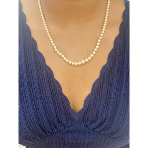Collier de perles de culture en or jaune