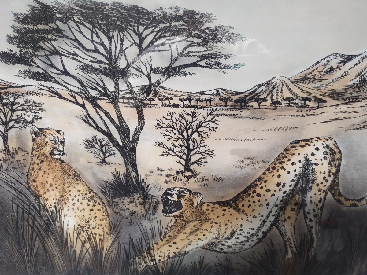 Original Etching – Cheetahs In The Steppe – Th Adam - 20th Century.-photo-2