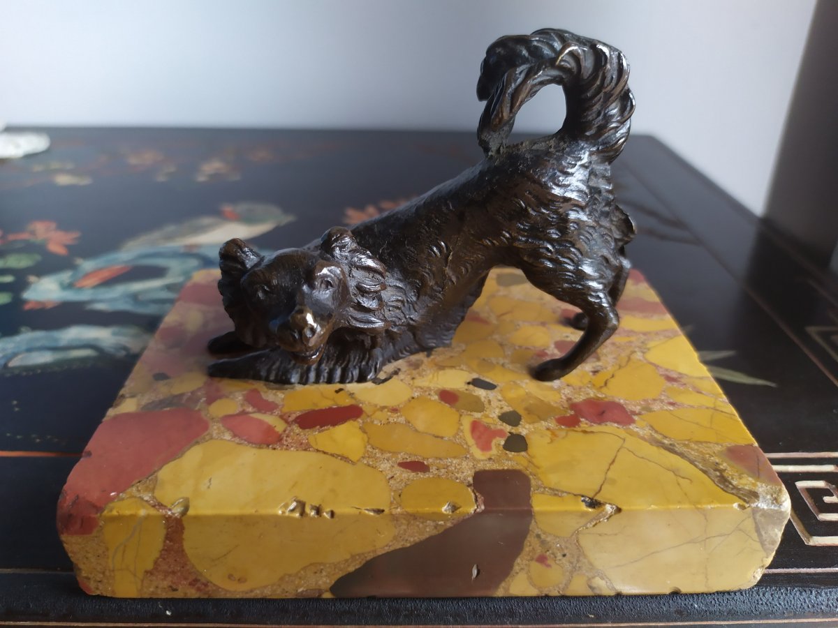 Chien « cavalier King Charles » En Bronze- XIXème Siècle.