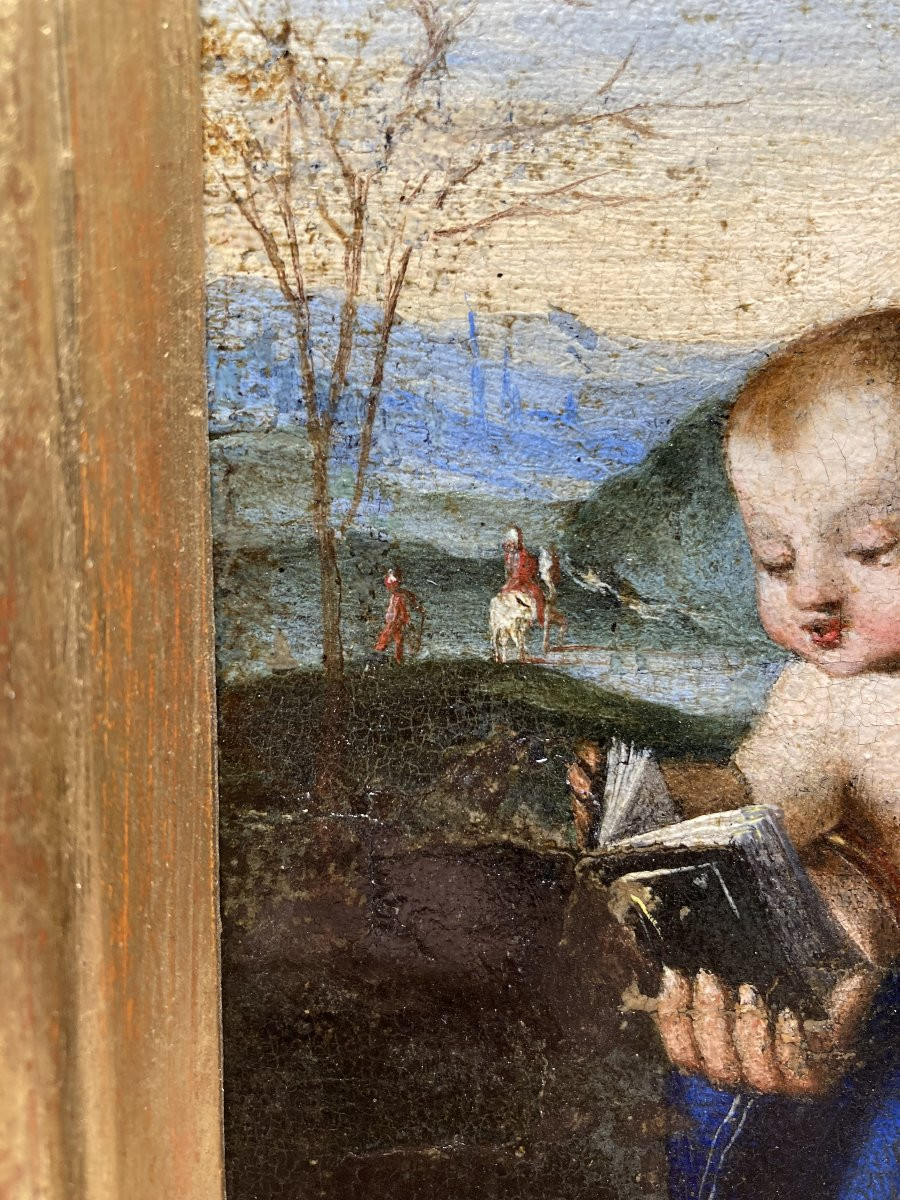 Lorenzo Costa (ferrara, 1460 - Mantua, 1535) - Workshop Of - Madonna Of The Book - 1520/1530-photo-4