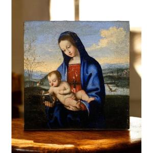 Premiere-Image-1693338