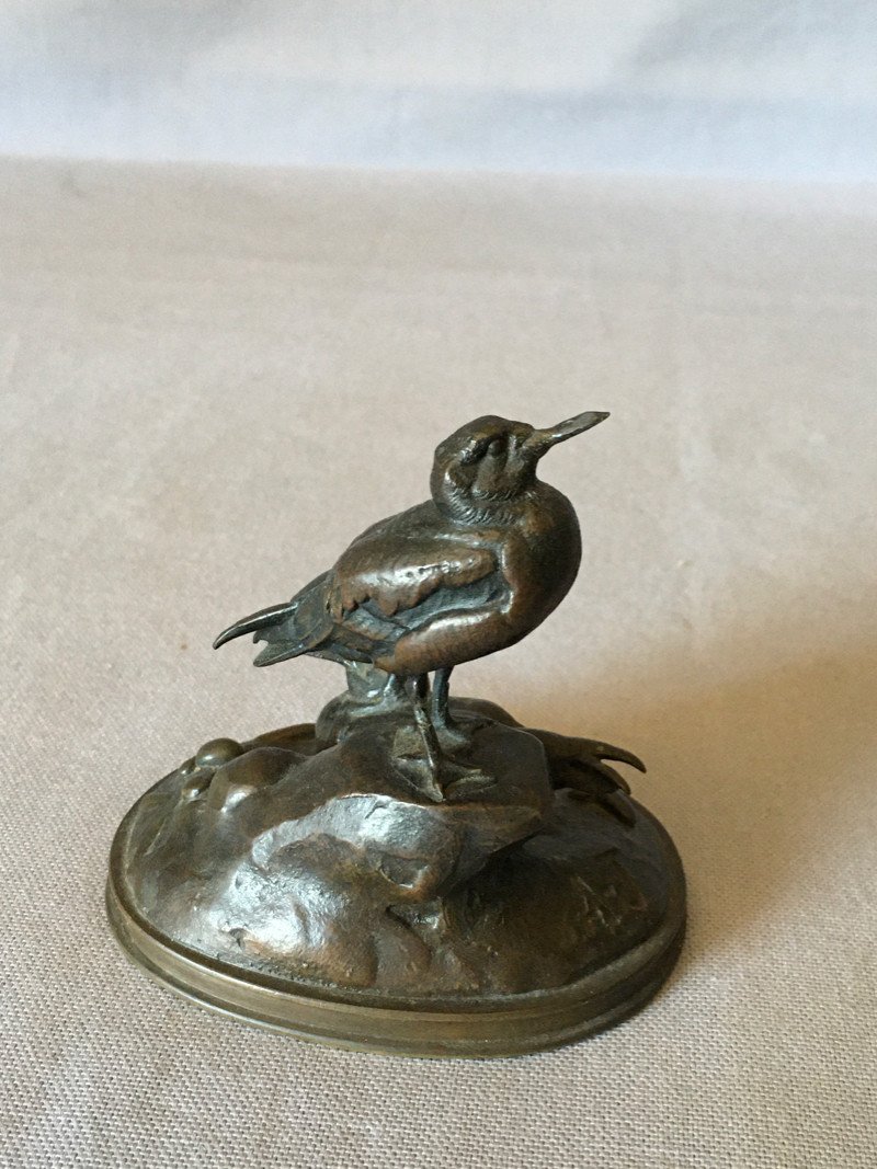 Petit Bronze Oiseaux-photo-4