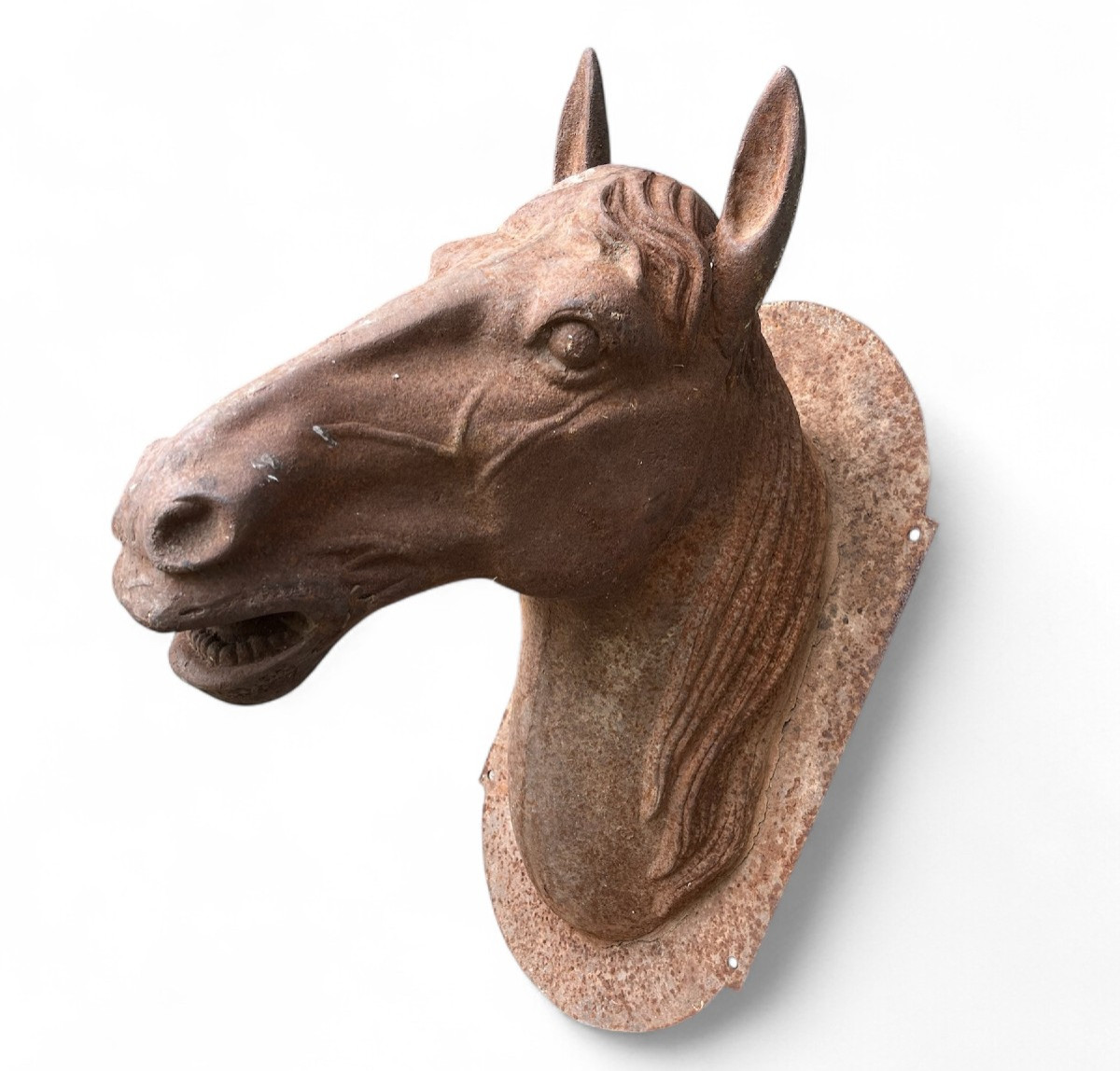 Tête de cheval en fonte- France XIXe siècle-photo-3