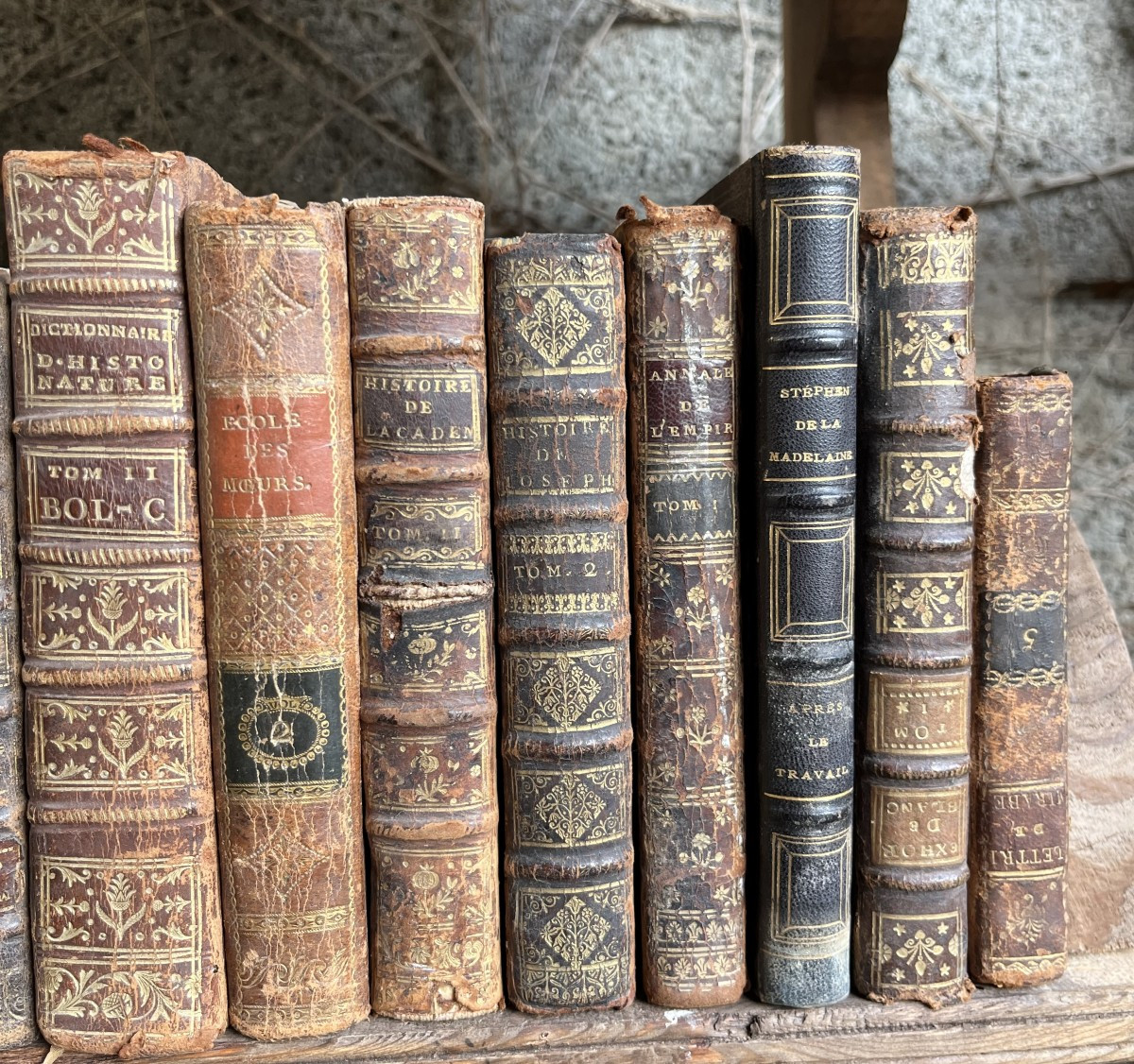 Lot de livres anciens - Reliures XVIIIe - XIXe siècles-photo-2