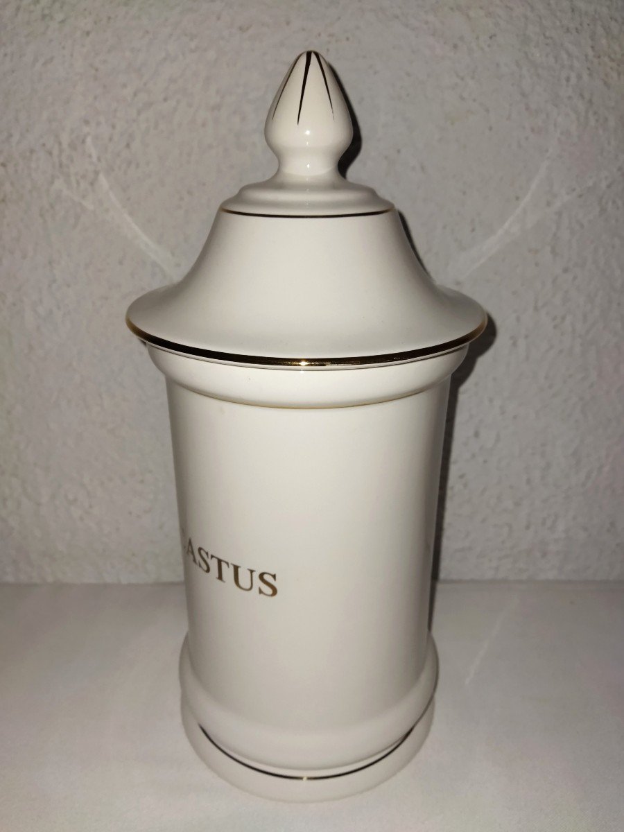 LUNÉVILLE  K&G  Pot De Pharmacie Ancien  "VITEX AGNUS-CASTUS"-photo-4