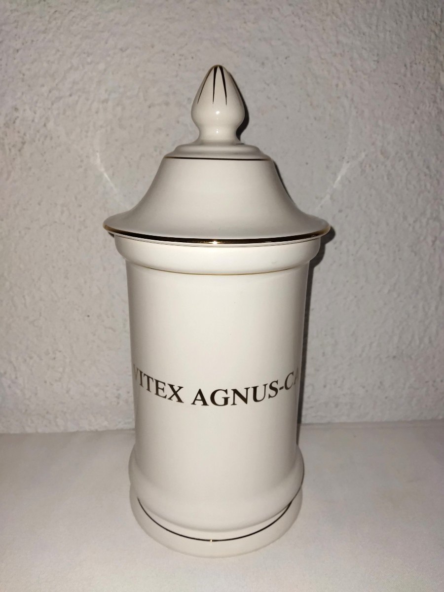 LUNÉVILLE  K&G  Pot De Pharmacie Ancien  "VITEX AGNUS-CASTUS"
