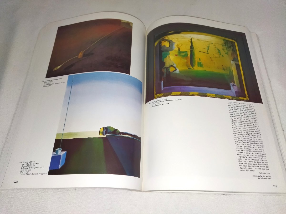 SALVADOR DALI  Rétrospective 1920-1980 Centre Georges POMPIDOU Livre d'Art Collection-photo-5