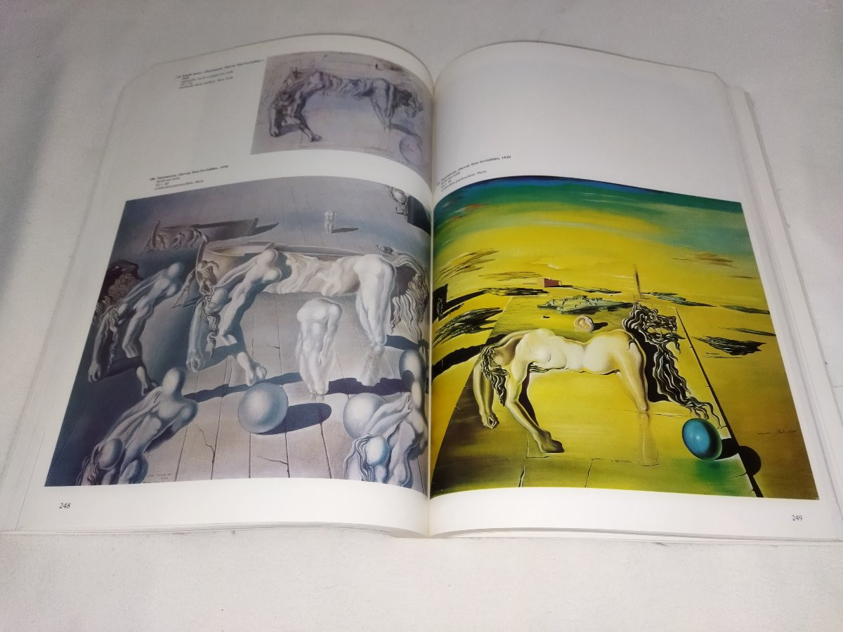 SALVADOR DALI  Rétrospective 1920-1980 Centre Georges POMPIDOU Livre d'Art Collection-photo-6