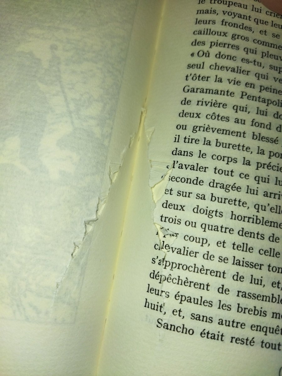 DON QUICHOTTE DE LA MANCHE Jean De BONNOT 1969 Complet 4 Tomes-photo-4