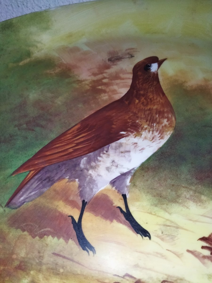 Large Decorative Plate Animal Decor "the Partridge" 37x52cms-photo-3