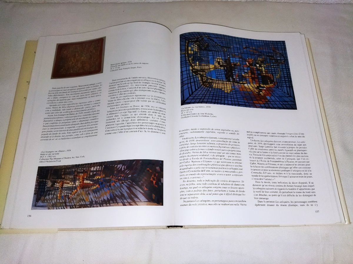Vieira Da Silva "monograph" Artist Painter Lisbon Skira 1993 Collection-photo-4