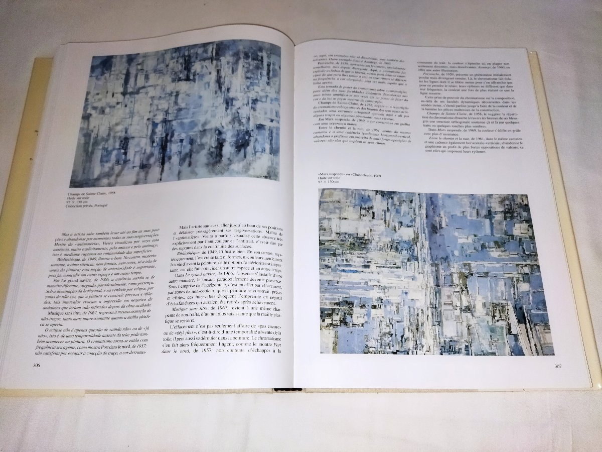 Vieira Da Silva "monograph" Artist Painter Lisbon Skira 1993 Collection-photo-7