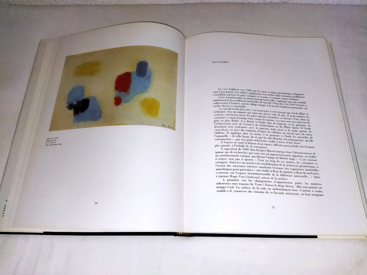 Leon Zack Russian Painter By Jean-marie Dunoyer Edition La Difference 1989-photo-7