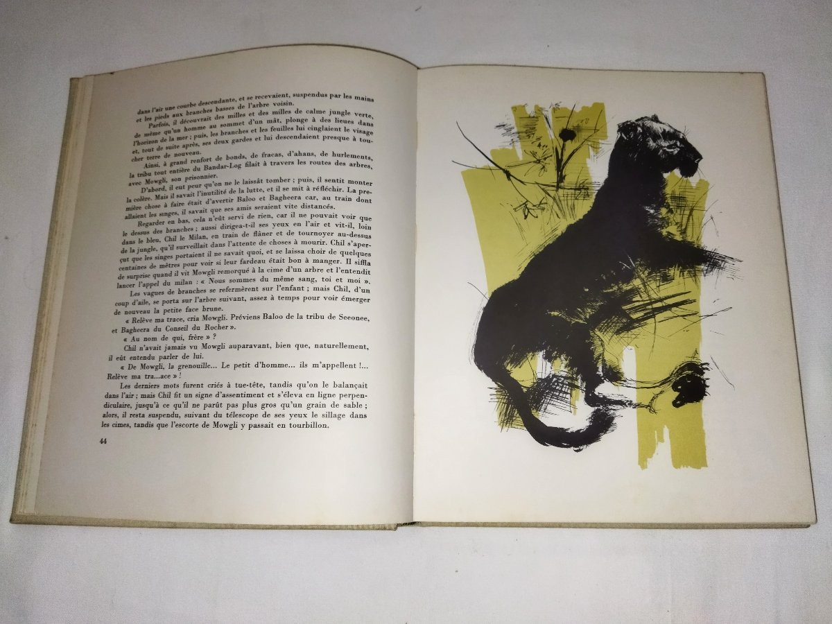 KIPLING  "Le Livre De La Jungle" Illustrations Paul DURAND Editions Delagrave 1967-photo-1