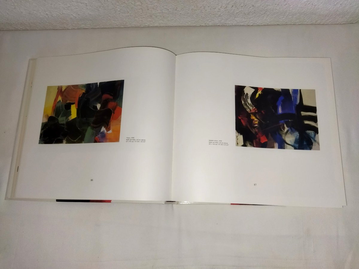 MIOTTE Peintre Abstraction Lyrique Tachisme Par Karl Ruhrberg Edition La Difference 1998-photo-6