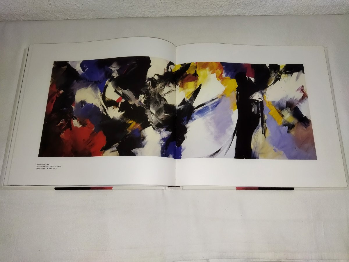 MIOTTE Peintre Abstraction Lyrique Tachisme Par Karl Ruhrberg Edition La Difference 1998-photo-7