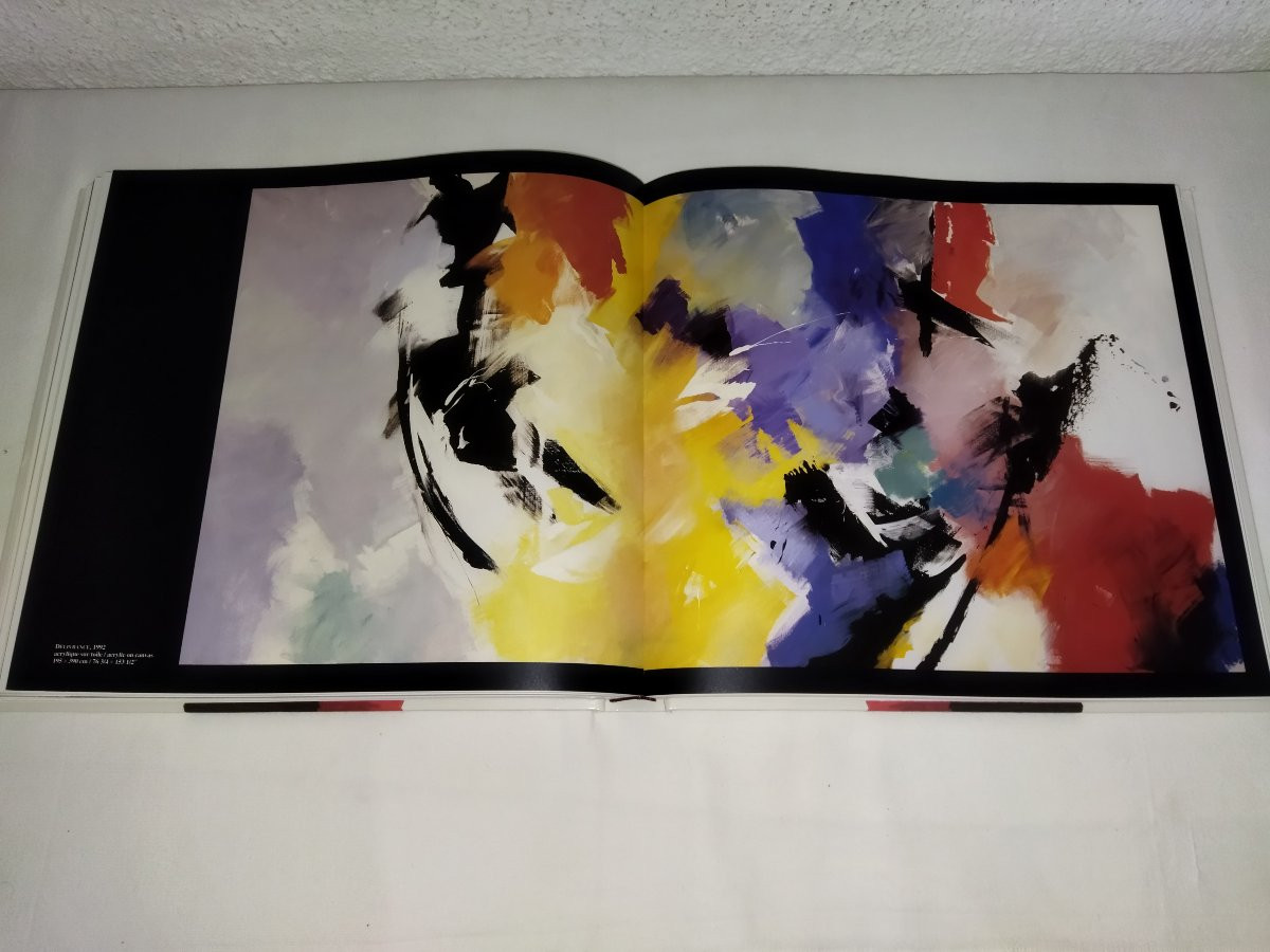 MIOTTE Peintre Abstraction Lyrique Tachisme Par Karl Ruhrberg Edition La Difference 1998-photo-8