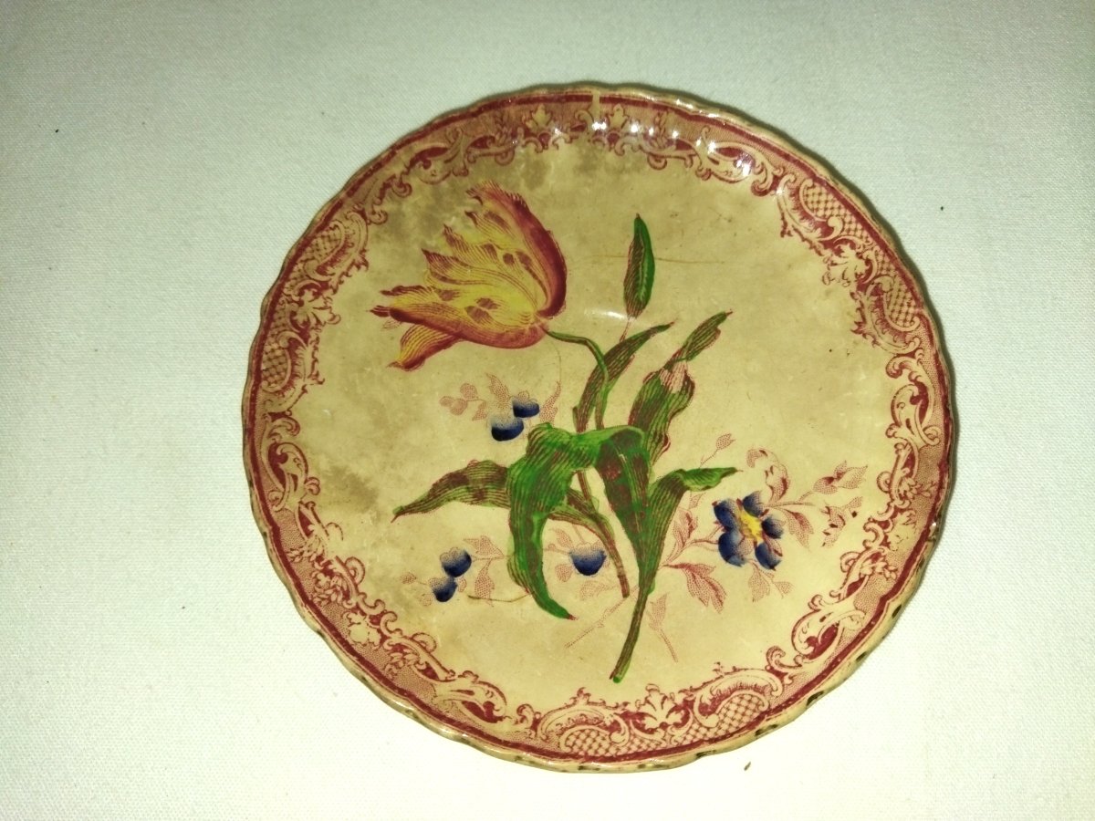 SARREGUEMINES Tasse ancienne et sa Soucoupe Motif Floral Objet de vitrine Collection XIX-photo-3