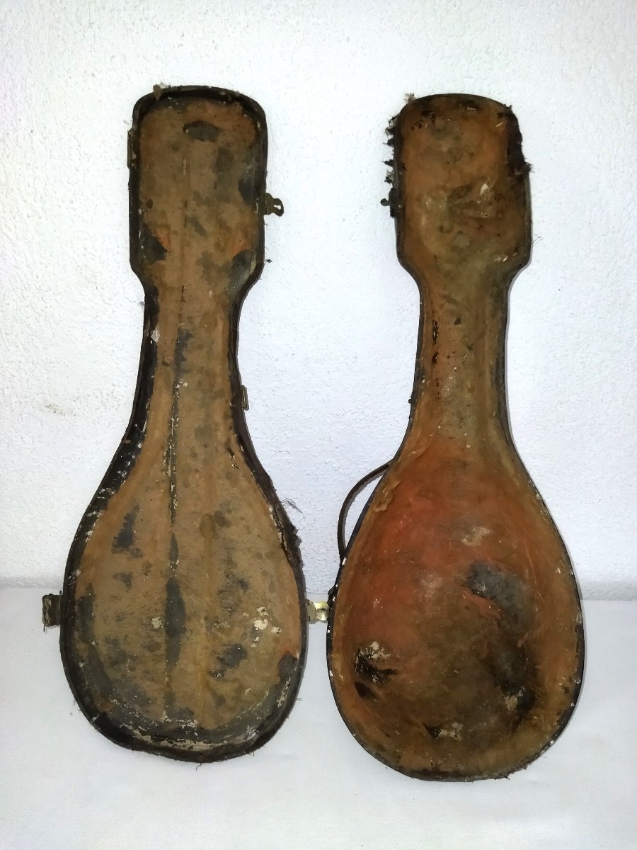 CAVALLI ARISTIDE MANDOLINE ancienne Décor papillon Nacre et Bois ITALIE CRÉMONE XIX-photo-3