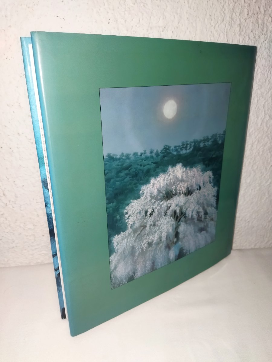 KAII HIGASHIYAMA "DESSINS 1948-1988"  Livre d'Art Artiste Peintre japonais Paysages Nature -photo-2