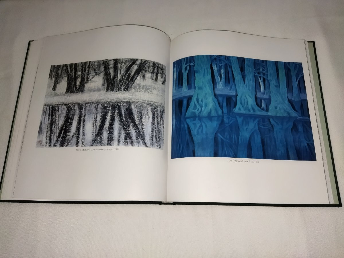 KAII HIGASHIYAMA "DESSINS 1948-1988"  Livre d'Art Artiste Peintre japonais Paysages Nature -photo-3