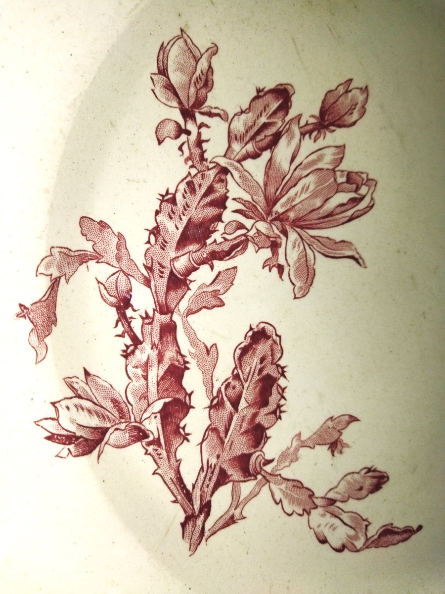 GIEN  Grand Plat de Présentation Modèle "CACTUS" Vieux Rose  Terre de Fer Porcelaine Opaque-photo-1