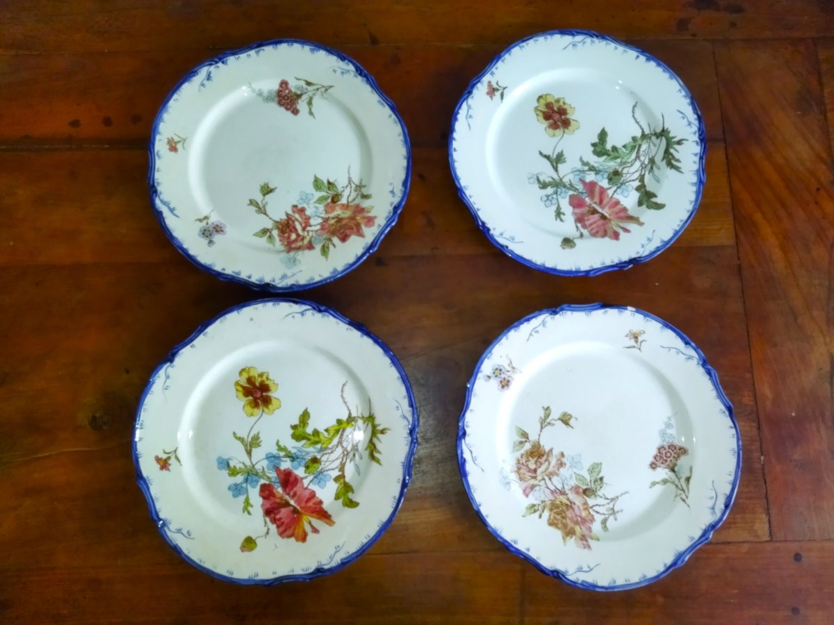 CREIL & MONTEREAU  TERRE DE FER Série De 10  Assiettes En Faience Ancienne Motifs Floraux OLGA-photo-1