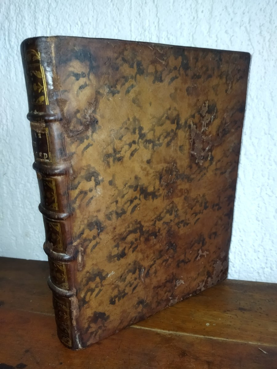Procedures Royal Civil And Criminal Courts Ancient Legislation Théodore Le Gras 1769-photo-2
